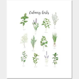 Culinary herbs Posters and Art